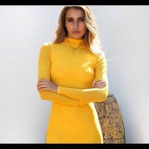 NWT tiger mist dress